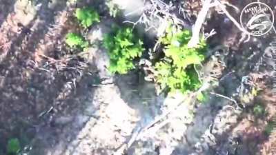 Footage of drone attacks by the Ukrainian 503rd Marine Batallion on Russian soldiers, boats and positions. Left bank of the Dnipro, Kherson Oblast.