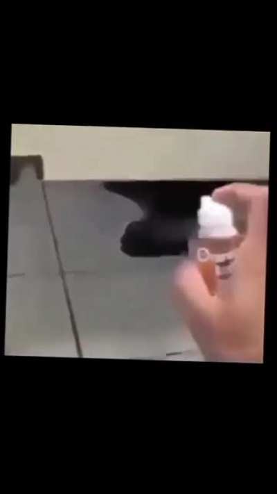 wordington prank
