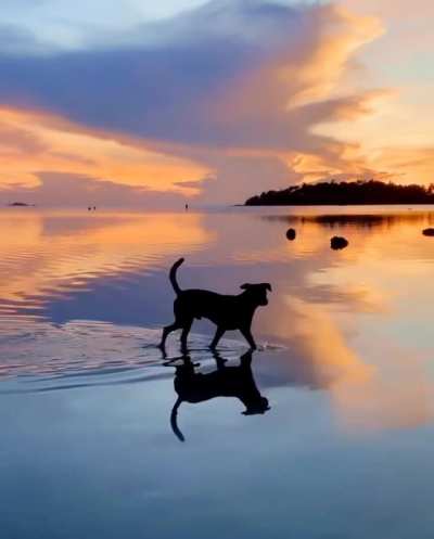 Sunset Walk