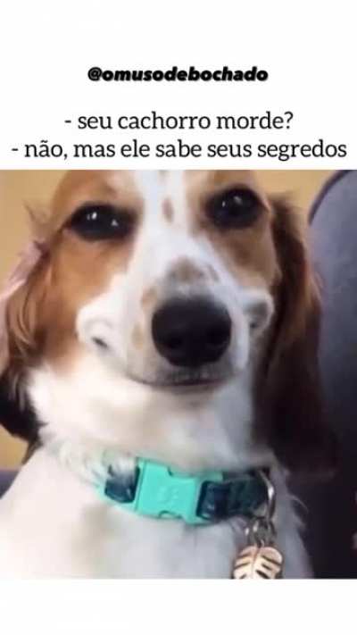 Eles sabem...
