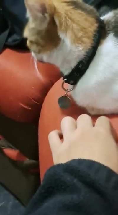 Nom