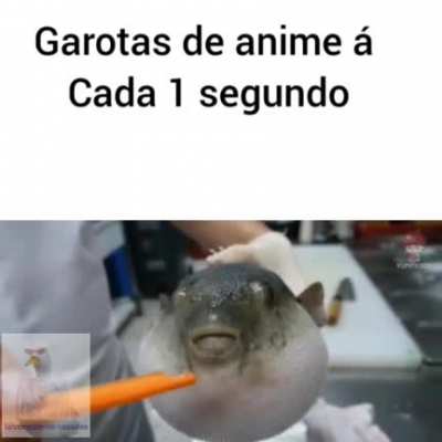 &Ntilde; tem diferen&ccedil; entre hentai e anime