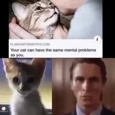 Patrick meowman