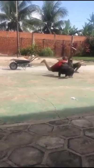 ?