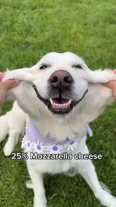 Dog DNA test