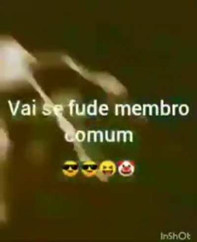 Ver&iacute;dico