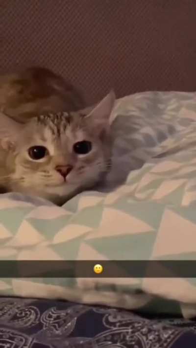 🙂