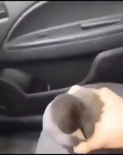 &lrm;
