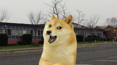 Dogelore ends mr kill