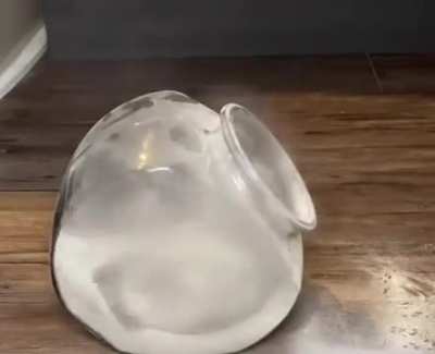 blursed_cocaine_chincilla