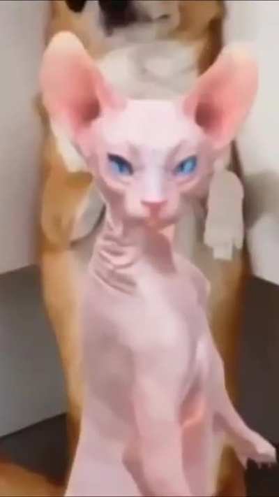 ?