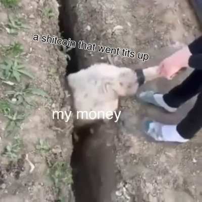 Story of my life