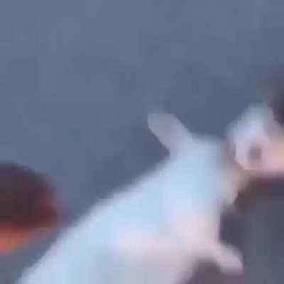 Bruh