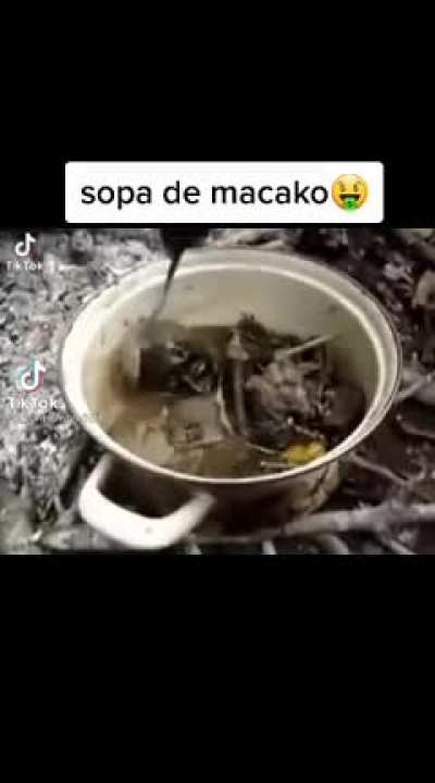 Sopa