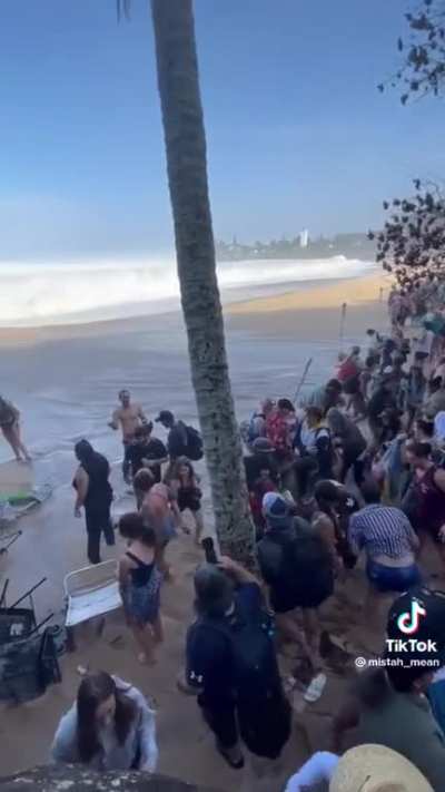 Spectators at &ldquo;The Eddie,&rdquo; Waimea Bay