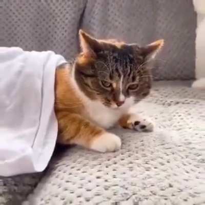 This definitely deserves to be here, enjoy.