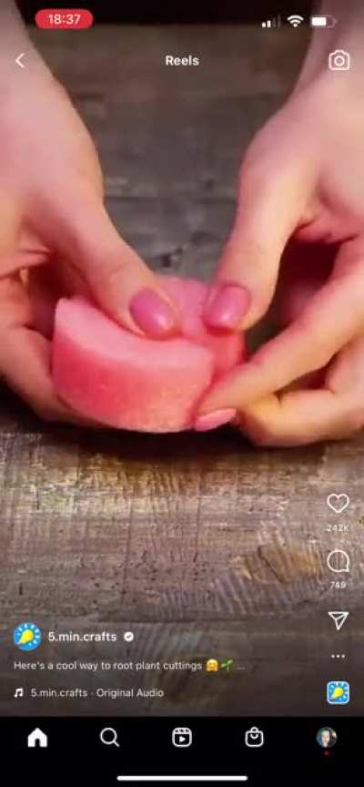 Usually i hate 5 minute crafts&hellip;. BUT THIS??????? I dont hate this