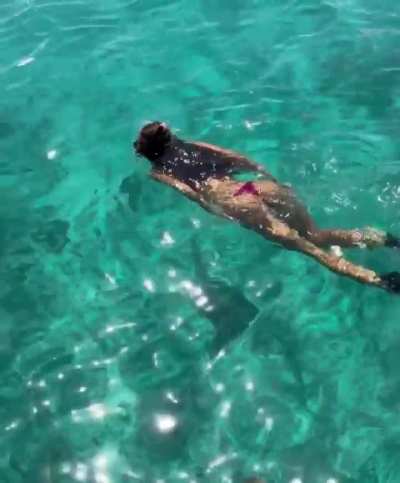 Kylie Verzosa