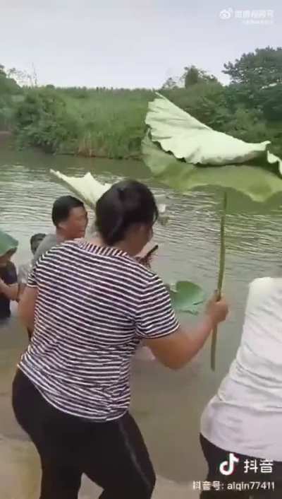 是小仙女呀