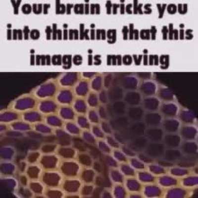 moldy trick