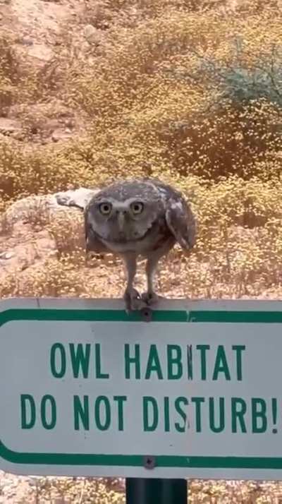Get off my lawn!