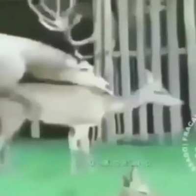 Com&eacute;dia