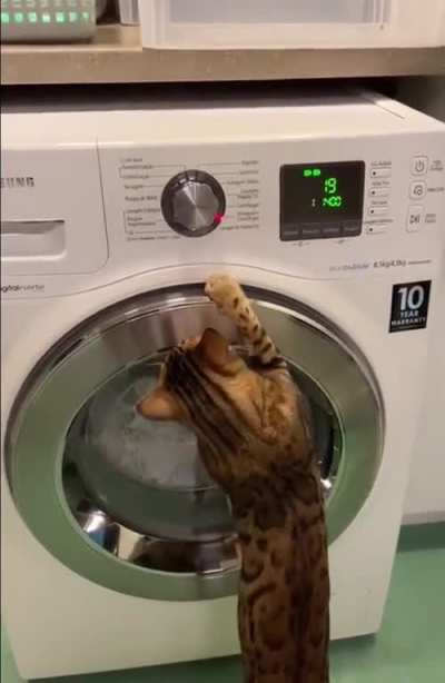 Where is the mode for my blanket?