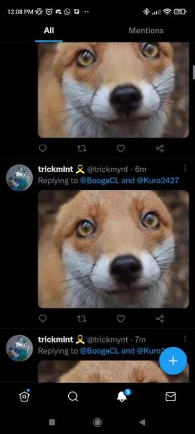 Notifications