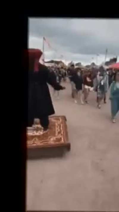 Looking for online websites that stabilize videos just like /u/stabbot used to