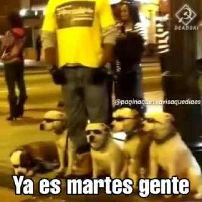 &not;_&not;