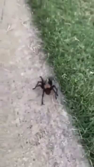 💀