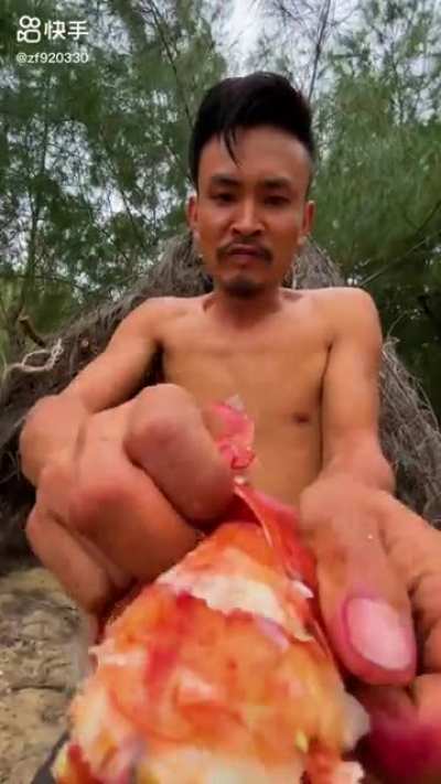 支那近海能捡到波龙？骗人也不是这么骗的吧...
