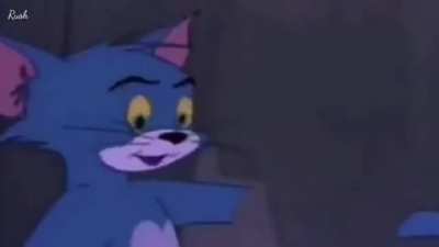 sjsj