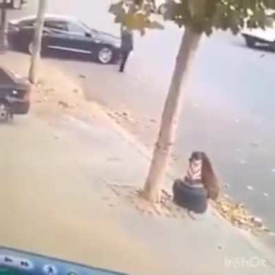 Better luck next time, Mr. Pig
