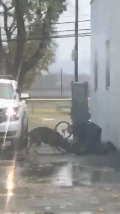 Yeah punch the responder cop in the face what could possibly go wrong?