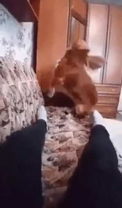 " I also want rest !!!! "