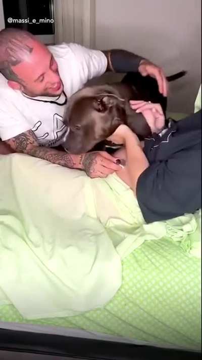 Dog hearing baby&acirc;s heartbeat through mothers stomach