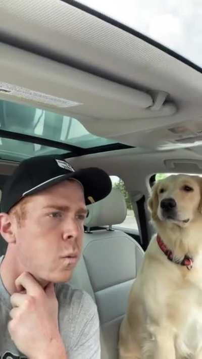Learning to speak dog's language