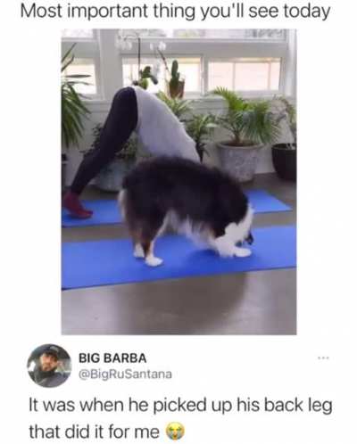 That leg lift tho&hellip;