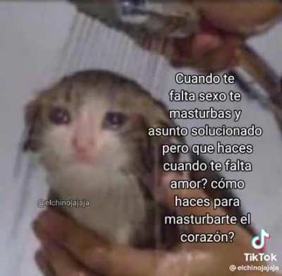 ._.xd