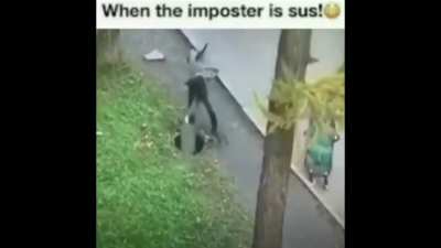 sus😳
