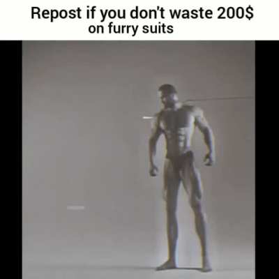 No furry suits