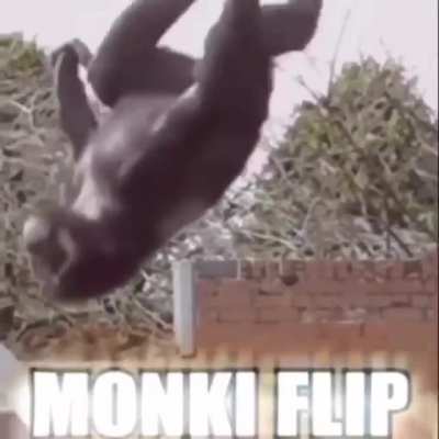 Epico 👌😎