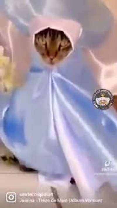 Ave Maria!