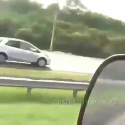 Es como de q est&aacute;n enamorados entienden?