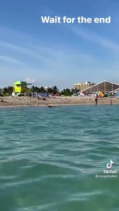 Girl sees a huge bird at the beach (: