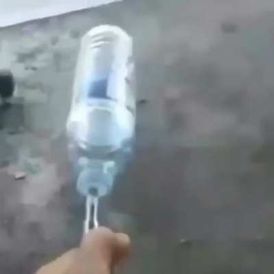 Bottle