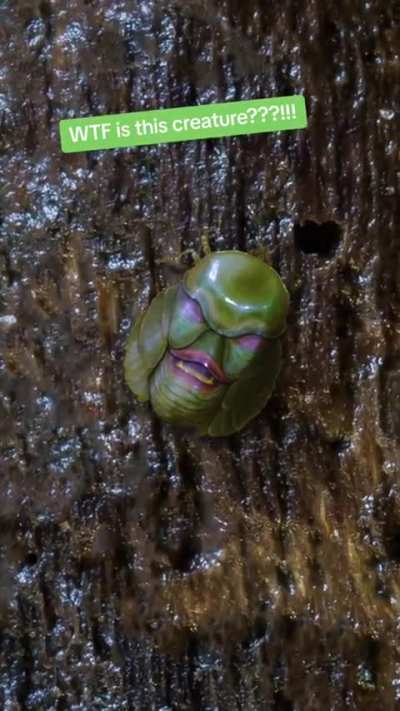 Hmmm