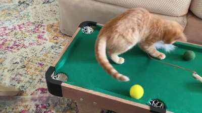 Pool sharks