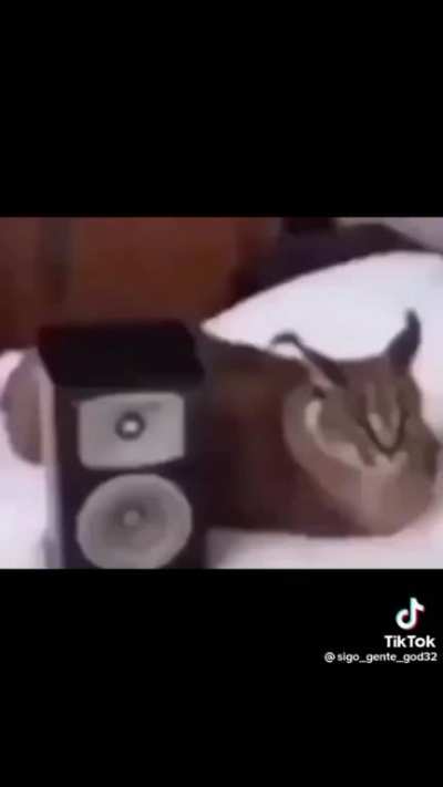 xd